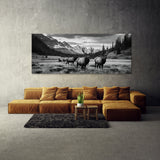 Elk Contrasting Wilderness 69