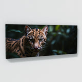 Ocelot Eyes Of Predation 71