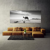 Camel Desert Resilience 62