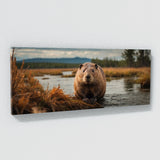 Beaver Marshland Majesty 62