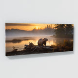 Beaver Misty Dawn Emergence 64