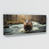 Beaver Spring Stream Surge 77