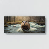 Beaver Spring Stream Surge 77