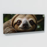 Sloth Soul 66