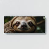 Sloth Soul 66