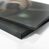 Sloth Soul 66