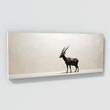 Antelope Elegant Silhouette 102