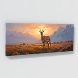 Antelope Radiant Morning 11