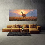 Antelope Radiant Morning 11