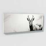Antelope Shadowed Grace 92