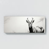 Antelope Shadowed Grace 92