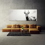 Antelope Shadowed Grace 92