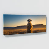 Meerkat Dawns First Light 73