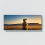 Meerkat Dawns First Light 73
