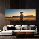 Meerkat Dawns First Light 73