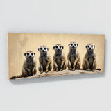 Meerkat Monochrome 101