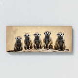 Meerkat Monochrome 101