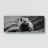 Mongoose Monochrome Marvel 92