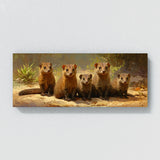 Mongoose Serene Clan 6