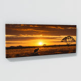 Wallaby Outback Sunset 63