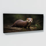 Weasel Alert Instincts 74