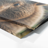 Wombat Cinematic Portrait 64