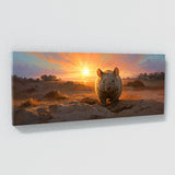 Wombat Sunrise Emergence 8