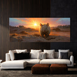 Wombat Sunrise Emergence 8