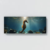 Seahorse Adventure 101