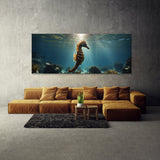 Seahorse Adventure 101