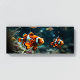 Clownfish Dreamy Symphony 83