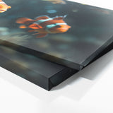 Clownfish Dreamy Symphony 83