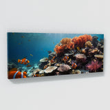 Clownfish Vibrant Symphony 95