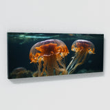 Jellyfish Ballet 77