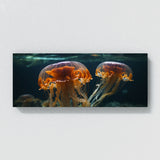 Jellyfish Ballet 77