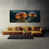 Jellyfish Ballet 77