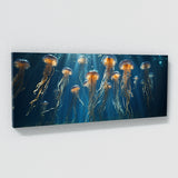 Jellyfish Blue Symphony 70