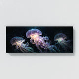 Jellyfish Glowing Ocean Dance 3