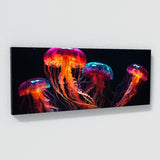 Jellyfish Neon Jelly Elegance 87