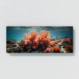 Coral Oceanic Rhythms 81