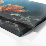 Coral Underwater Drama 75