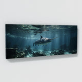 Marlin Enigmatic Ocean Descent 79
