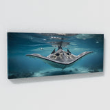 Stingray Majestic Abyss 79