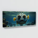 Pufferfish Underwater Shadows 72