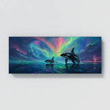 Orca Auroras Dance 9