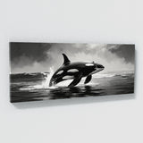 Orca Elegance 86
