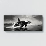 Orca Elegance 86