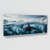 Orca Icy Odyssey 69