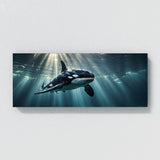 Orca Radiance 66