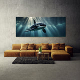 Orca Radiance 66